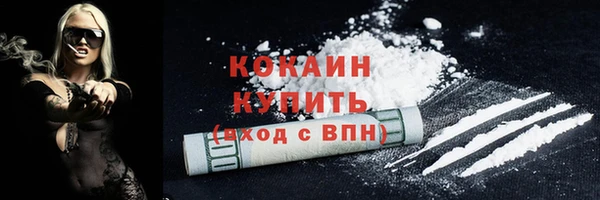 винт Бородино
