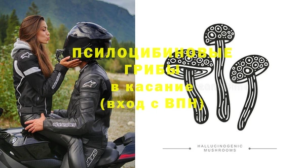 винт Бородино
