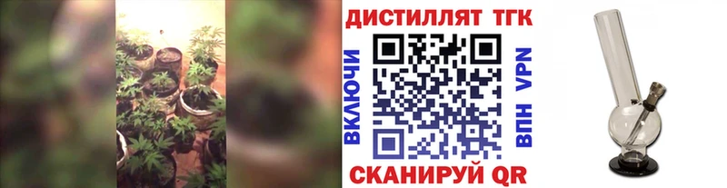 наркошоп  Пласт  мориарти наркотические препараты  Дистиллят ТГК Wax 